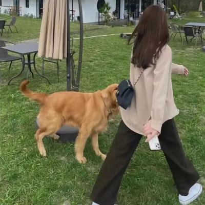 秘舞41